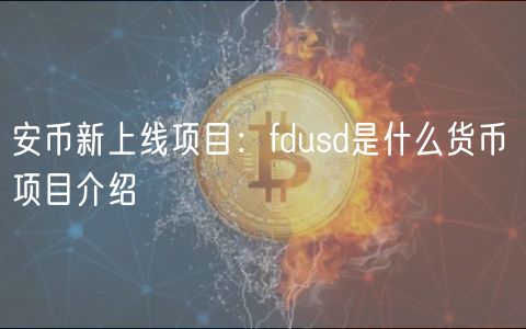 安币新上线项目：fdusd是什么货币 项目介绍