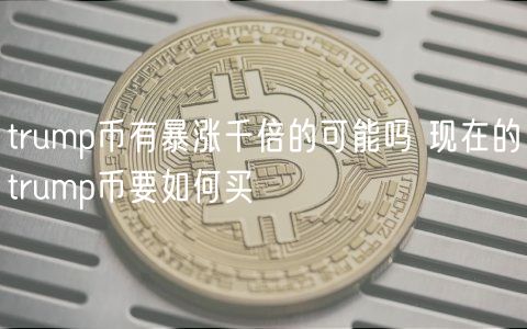 trump币有暴涨千倍的可能吗 现在的trump币要如何买