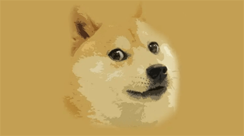 doge币到底是什么 doge币哪个平台能买