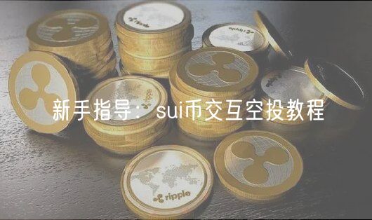 新手指导：sui币交互空投教程