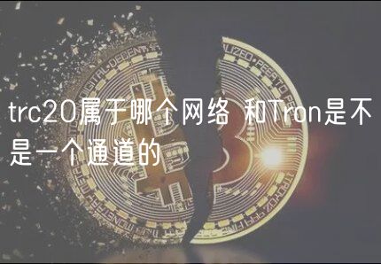 trc20属于哪个网络 和Tron是不是一个通道的