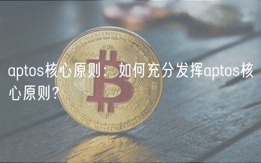 aptos核心原则：如何充分发挥aptos核心原则？