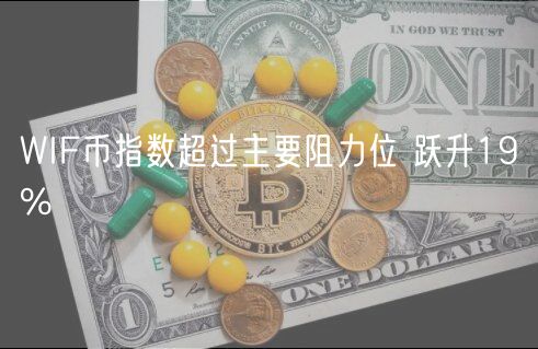 WIF币指数超过主要阻力位 跃升19%