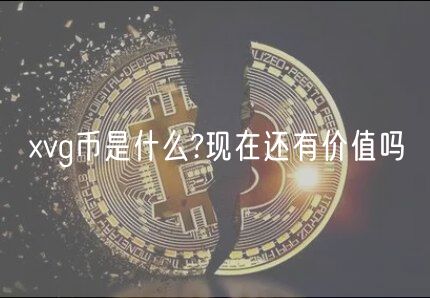 vg币是什么?现在还有价值吗