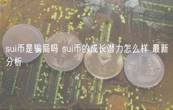 sui币是骗局吗 sui币的成长潜力怎么样 最新分析
