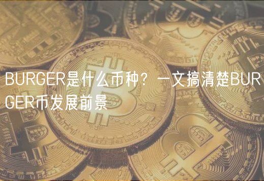 BURGER是什么币种？一文搞清楚BURGER币发展前景