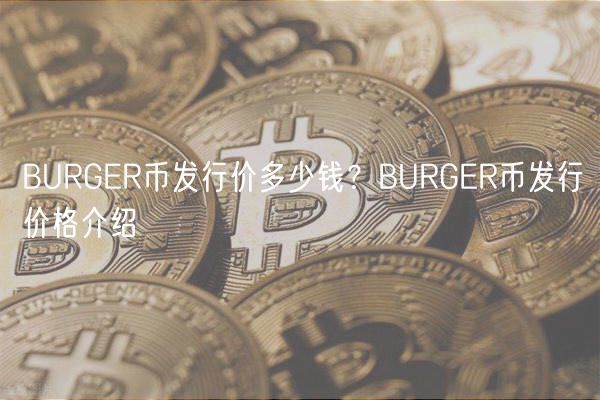 BURGER币发行价多少钱？BURGER币发行价格介绍