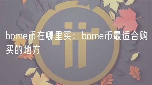 bome币在哪里买：bome币最适合购买的地方