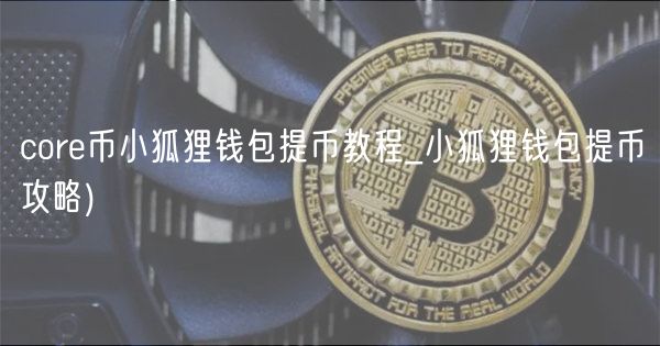 core币小狐狸钱包提币教程_小狐狸钱包提币攻略