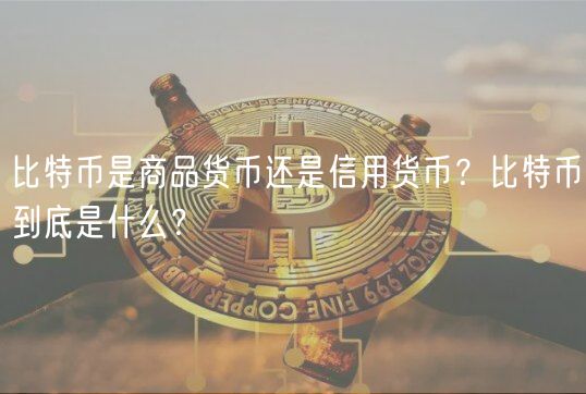 比特币是商品货币还是信用货币?比特币到底是什么?
