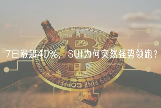 7日涨超40%,SUI为何突然强势领跑?