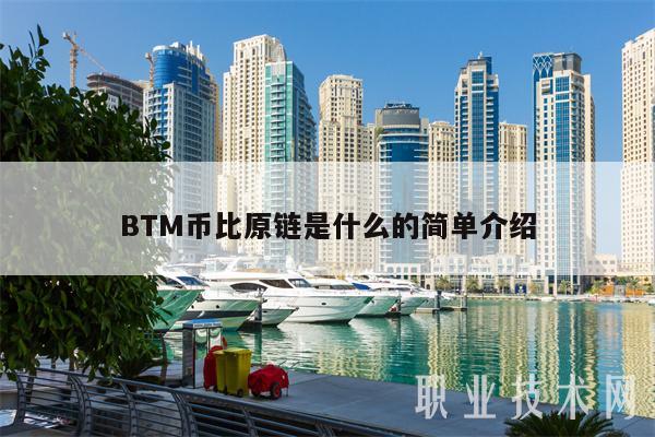 BTM币比原链是什么的简单介绍