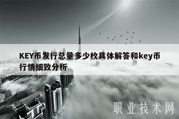 KEY币发行总量多少枚具体解答和key币行情细致分析