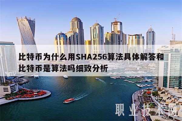 比特币为什么用SHA256算法具体解答和比特币是算法吗细致分析