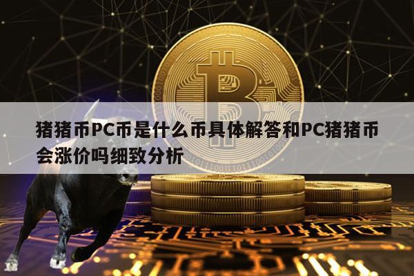 猪猪币PC币是什么币具体解答和PC猪猪币会涨价吗细致分析
