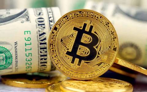 维卡币最新价格美元 Onecoin币今天最新消息