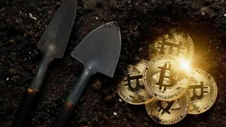 狗狗币多少钱一个 doge最新消息与新闻