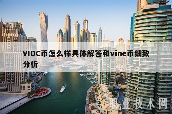 VIDC币怎么样具体解答和vine币细致分析