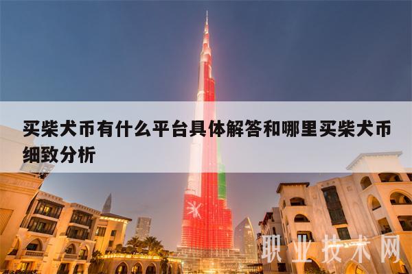 买柴犬币有什么平台具体解答和哪里买柴犬币细致分析