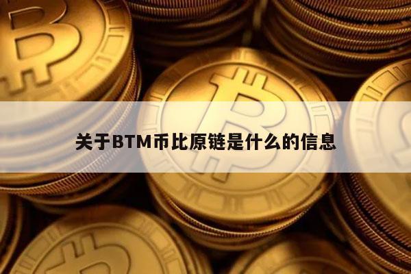 关于BTM币比原链是什么的信息