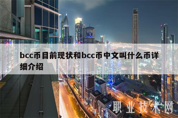 bcc币目前现状和bcc币中文叫什么币详细介绍