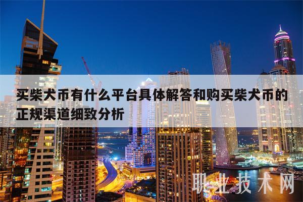 买柴犬币有什么平台具体解答和购买柴犬币的正规渠道细致分析