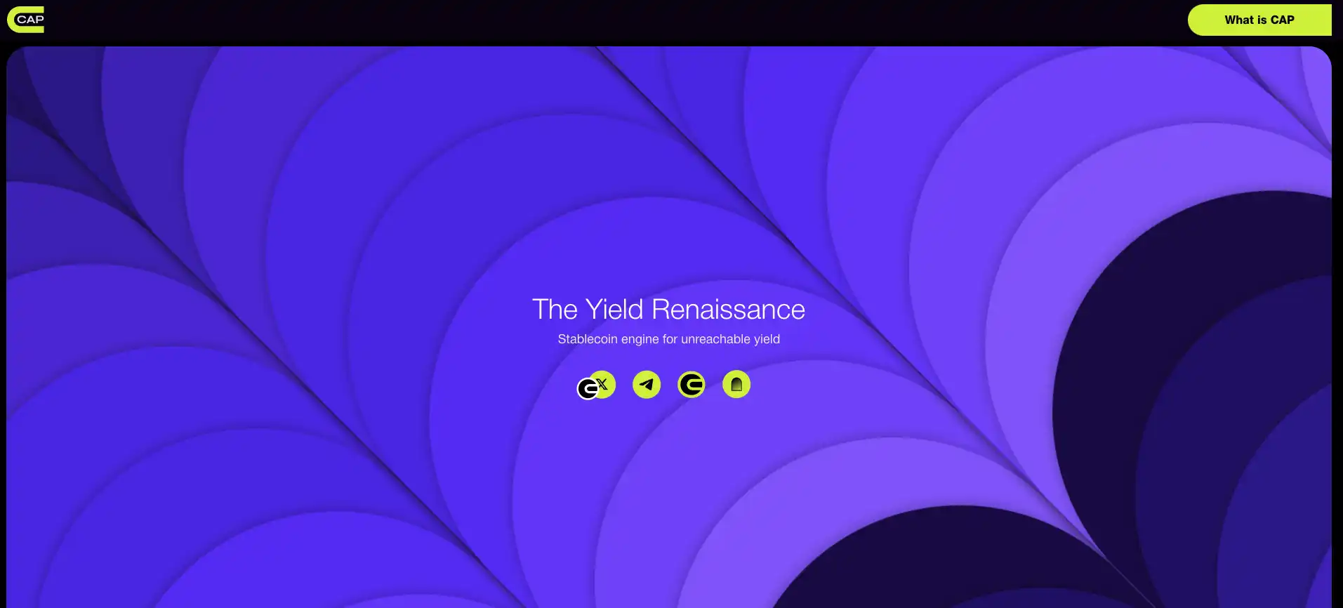 熊链之后,哪些热门公链生态项目值得关注?