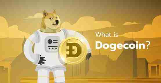 DOGE币是什么公链?狗狗币属于哪个生态链