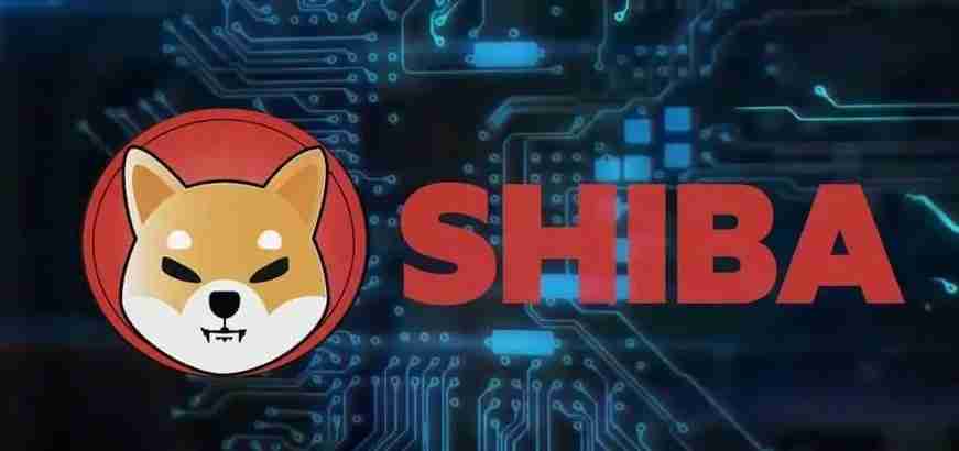 SHIB币是什么?一分钟带你了解什么是SHIB币
