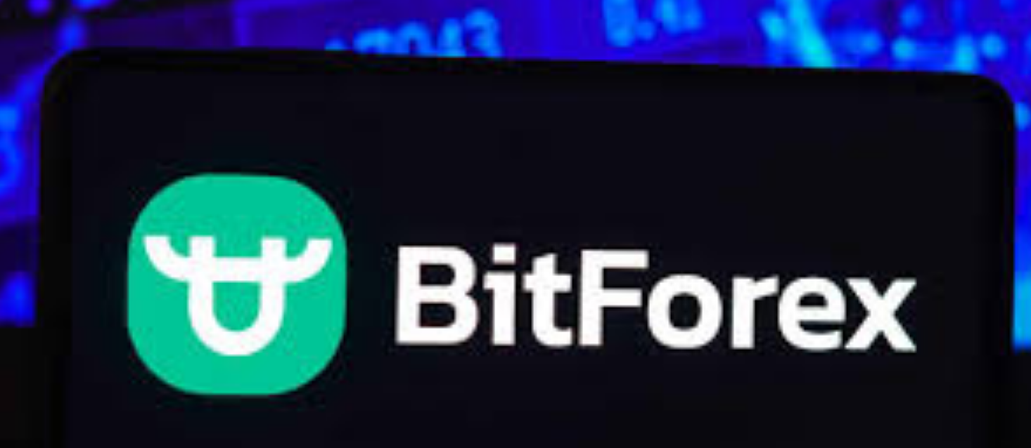 如何登录BitForex交易所最新官方网站入口？