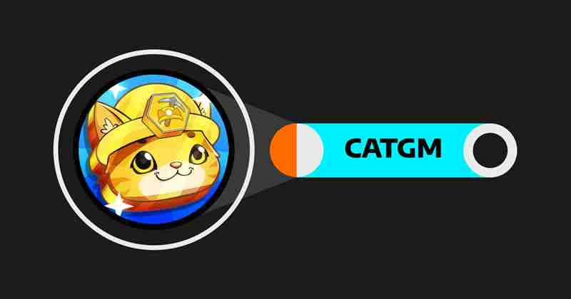 Ginnan the Cat(GINNAN)币是什么？如何运作？