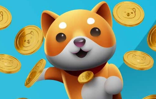 BabyDoge币的创始人是谁?
