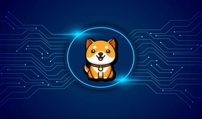 BabyDoge币的未来发展趋势如何？