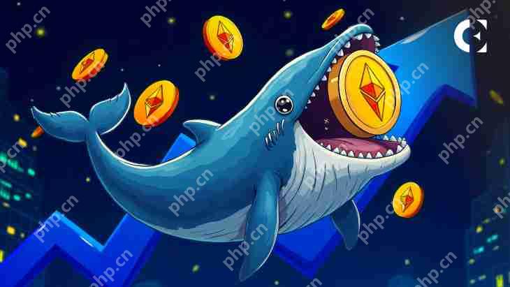 经过2。8年的不活动,一条鲸鱼购买了3,659.83 ETH,价值588万美元