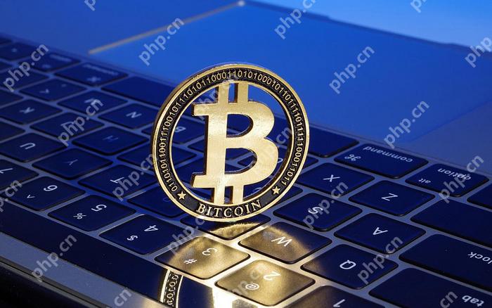 前10名的正规比特币交易app排名 十大比特币交易所权威榜单最新