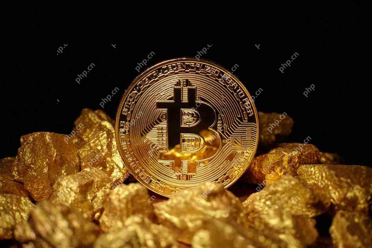 比特币或黄金：以美元的速度将出现哪个避风港？