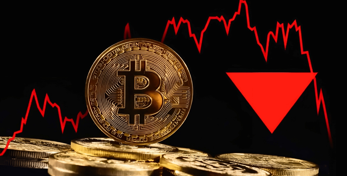 2025年要囤的低估币有哪些？2025未来5种暴涨的币 - php中文网