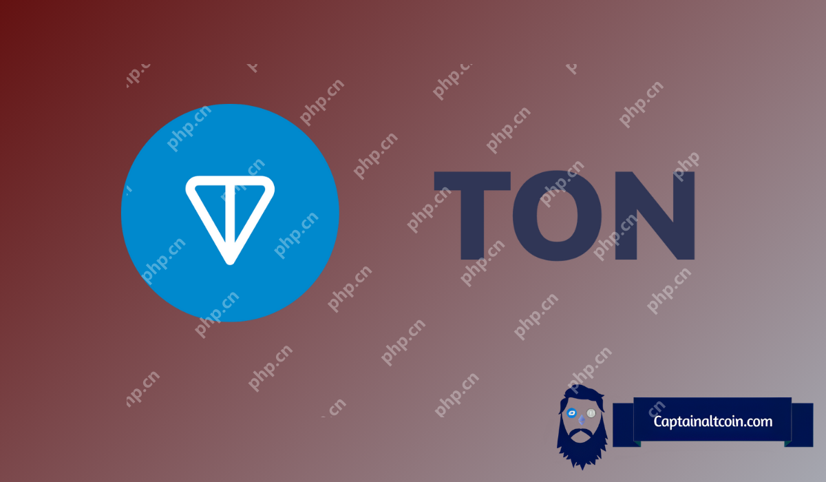 您应该在吨币（吨）上赌1000美元吗？这是图表所说的