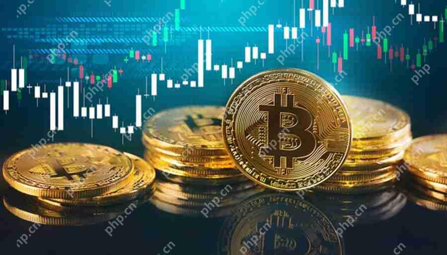 尽管价格集会,但比特币(BTC)短期下注,设定了波动率