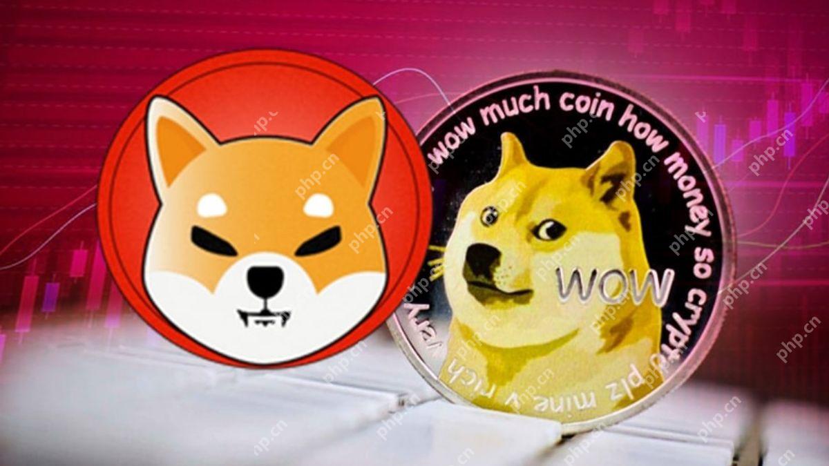 SHIB币牛市分析:SHIB币价格2025年能涨到0.0001美元吗?