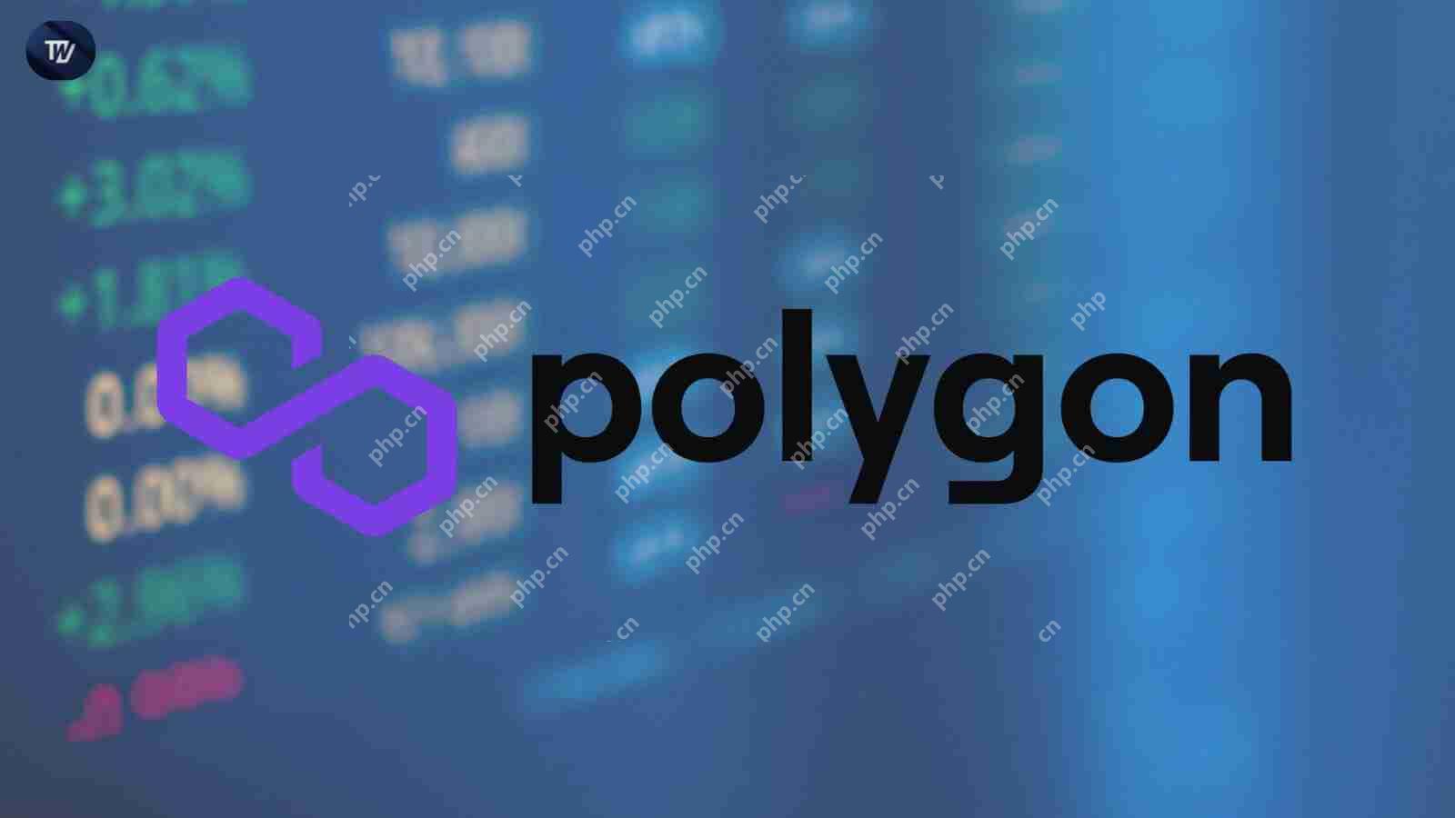 Pol Token滑入适度的校正后引起人们的注意