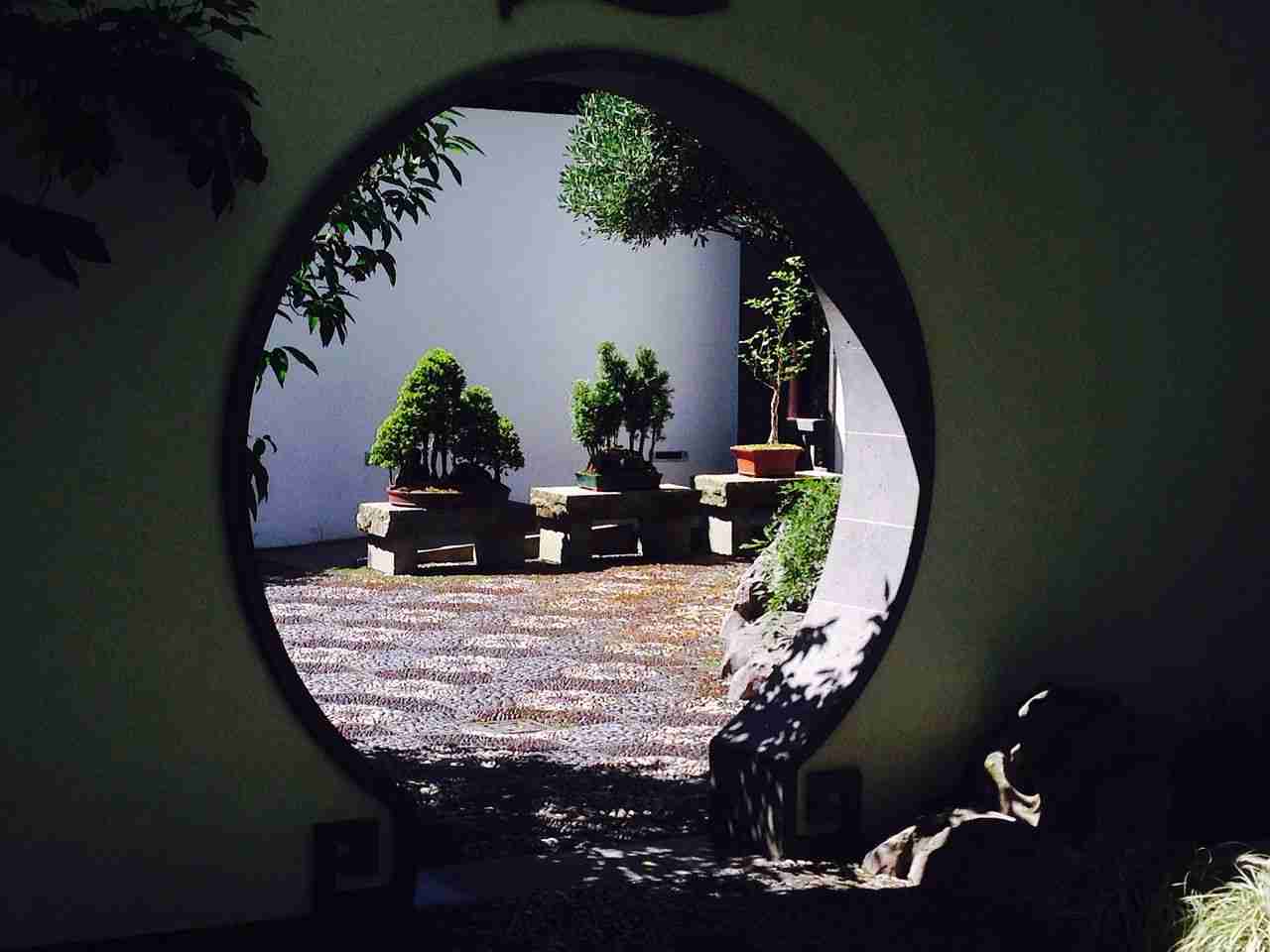 标题：持有XRP的加密交易者