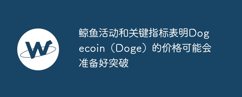 鲸鱼活动和关键指标表明dogecoin（doge）的价格可能会准备好突破